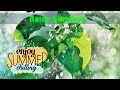 Rainy Day Rain Status Summer Rain Season Rainy Day Whatsapp Status