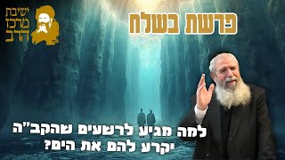 למה מגיע לרשעים שהקב"ה יקרע להם את הים? | הרב יגאל לרר | פרשת בשלח | י"א שבט תשפ"ו | ישיבת מרכז הרב (ישיבת מרכז הרב) - התמונה מוצגת ישירות מתוך אתר האינטרנט יוטיוב. זכויות היוצרים בתמונה שייכות ליוצרה. קישור קרדיט למקור התוכן נמצא בתוך דף הסרטון למה מגיע לרשעים שהקב"ה יקרע להם את הים? | הרב יגאל לרר | פרשת בשלח | י"א שבט תשפ"ו | ישיבת מרכז הרב (ישיבת מרכז הרב) - התמונה מוצגת ישירות מתוך אתר האינטרנט יוטיוב. זכויות היוצרים בתמונה שייכות ליוצרה. קישור קרדיט למקור התוכן נמצא בתוך דף הסרטון