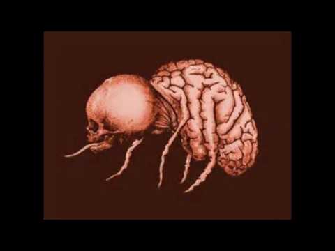 Area 23 - Virus Mortel (Acid / Mental)