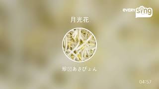 [everysing] 月光花