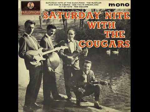 The Cougars - The Rustler (1963)