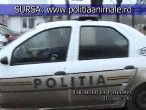 Potcoava, Jud. Olt. (2011)