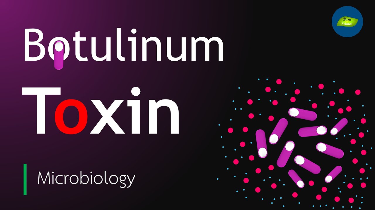 Botulinum Toxin | Botulism toxin | Clostridium botulinum | Basic Science Series