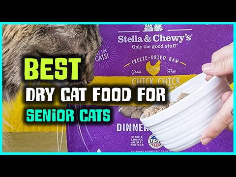 Best Dry Cat Food For Senior Cats in 2022 - Top 8 Dry Cat Food For Senior Cats Review