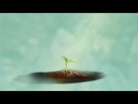 I Still Know You video