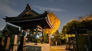 【NHK党の存在意義は何だったのか？】立花孝志被告人に対する《業務上横領の疑い》考えた／NHKから国民を守る党が国政政党だったとき外部から立花孝志 個人への貸付金の使い道  (2025.12.02)