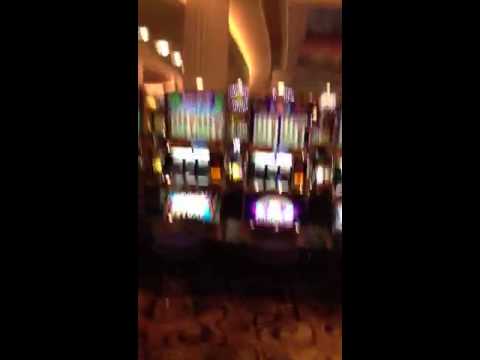 Watch lagu Images Videos Celebrity Solstice Smoking Areas, Watch Images Celebrity Solstice Smoking Areas free Watchn, video klip Celebrity Solstice Smoking Areas