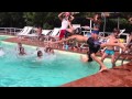 Harlem Shake Hermitage 2013
