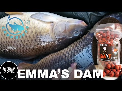 Carp Kings @ Emmarentia Dam - Angling Carp Care (Bait Products)