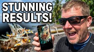 Tip for capturing great Underwater Macro with a Smartphone