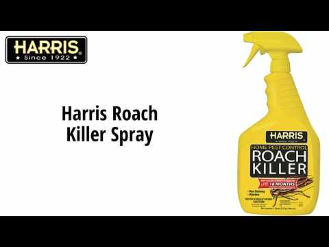Get Rid of Roaches Fast | Harris Roach Killer Spray