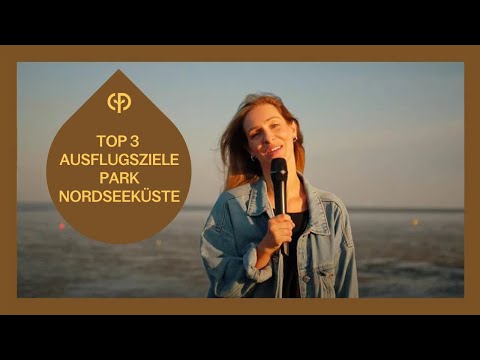 Die besten Ausflugsziele an der Nordseeküste | Center Parcs-Regionen | Center Parcs