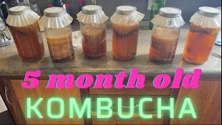 Neglected Kombucha | Feed it | Save it