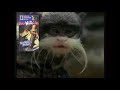 Really Wild Animals 1992 Promo