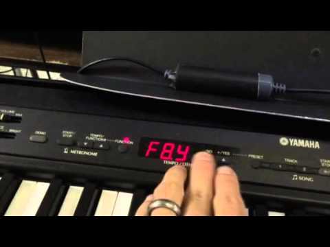 Yamaha P-80 MIDI to USB Adapter setup