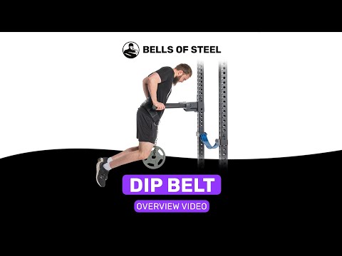 Dip Belt Overview