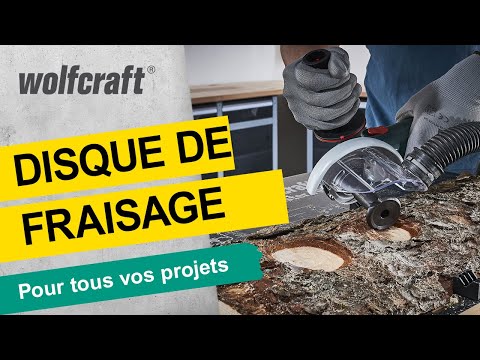 4387000_Milling-Disc-for-Angle-Grinder-Ø-50-mm_PRO_MCP_fr_2020.mp4