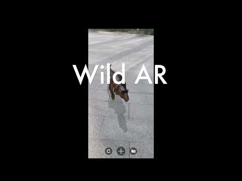 WildAR-AR For Lifelike Animals