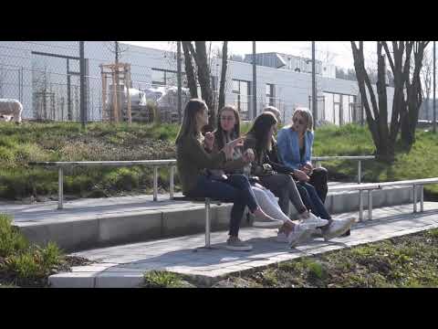 Fußball TSV Tiefenbach - SV Gündlkofen am 30.03.19