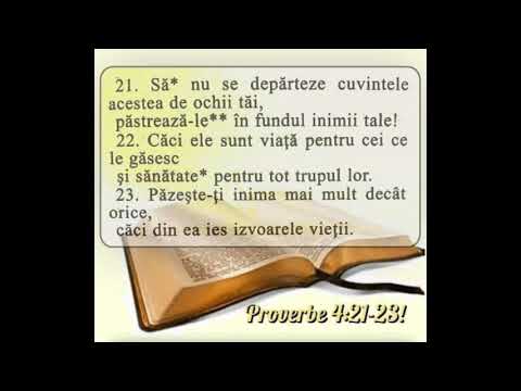 NELU  GABOR  COLAJ  DE  MUZICA  CRESTINA  VECHE  8 ORE    2025