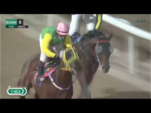 RACE 8 BUSAN - SOUTH KOREA - 26 DEC 2025