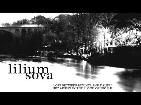 Lilium Sova-Invisible in Swarm