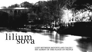 Lilium Sova-Invisible in Swarm