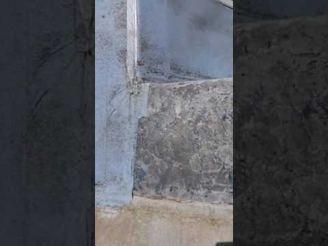 download lagu mp3 mp4 Vinyl Plaster, download lagu Vinyl Plaster gratis, unduh video klip Vinyl Plaster