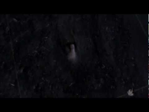 Pretty Little Liars 3x13 - Ending Scene.