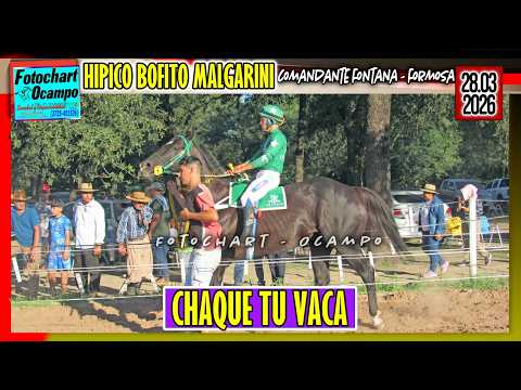 CHAQUE TU VACA Comandante Fontana FSA 28 03 2026