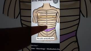 Doctor Explains Why Touching Your Belly Button Fee
