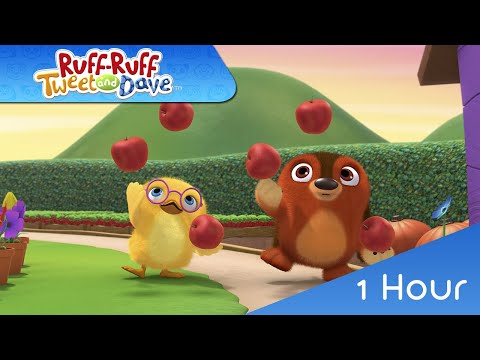 🐶🐼🐤 RUFF-RUFF, TWEET AND DAVE 1 Hour | 31-36 | VIDEOS and CARTOONS FOR KIDS