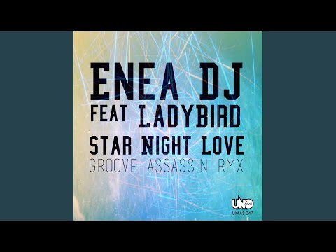 Star Night Love (Enea French Mix) (feat. Ladybird)