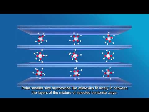 Адсорбент МікоГард Мульті Кормова добавка для адсорбції мікотоксинів (25кг) 960918 - фото 1 - id-p2387511803