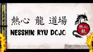 ... e anche il primo seminario della Nesshin Ryu Dojo è andato!