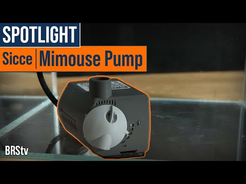 Watch Video on YouTube