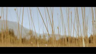 Steven Wilson - Perfect Life (Official Music Video)