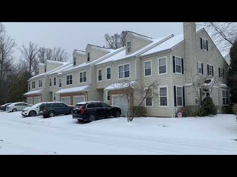 Snow and bird feeders