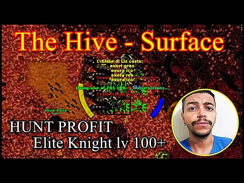 Hunt Profit e XP para Knight lv 100+ solo