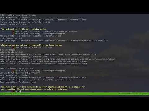 Notary V1 on Kubernetes Demo