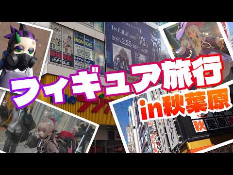 I went to see some figures in Akihabara