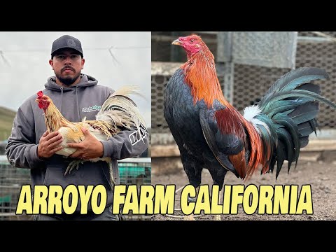 California ARROYO FARM Visit