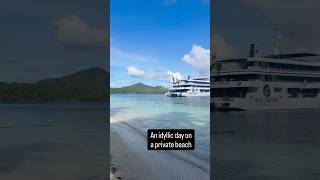 This beach is exclusive for guests of @BlueLagoonCruisesFiji #fiji #invited #cruise #travel#cruising