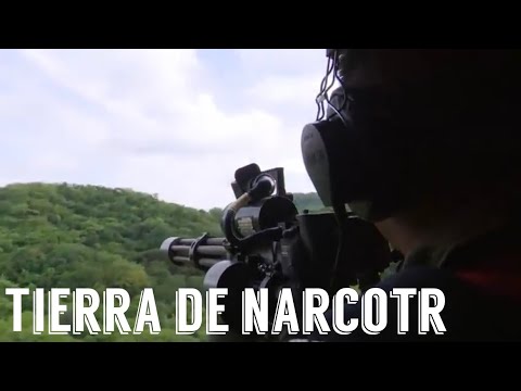 Tierra de narcotraficantes película