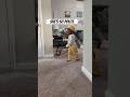 Baby Genius Viral Baby Babygirl Cute Beautiful Funny Beauty Hello Smart Cutebaby Fyp