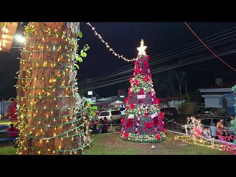 Navidad en Montes De Oro