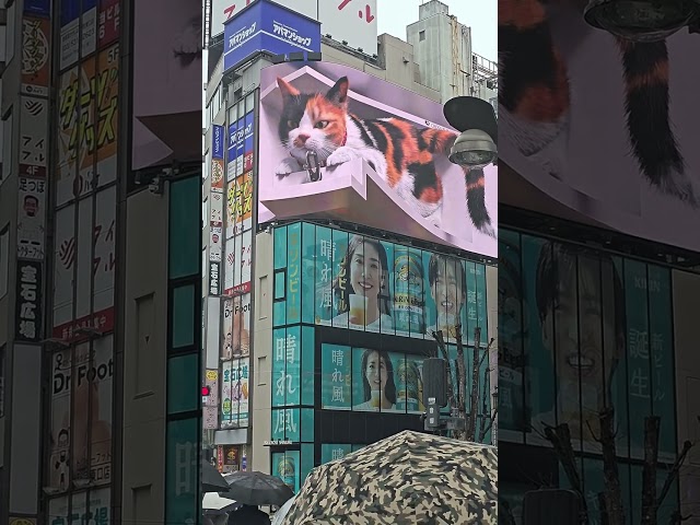 Vídeo relacionado con The 2023-2028 Outlook for 4K Display Resolution in Japan