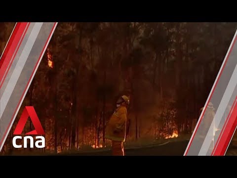 Australian PM Scott Morrison apologises for taking holiday during bushfire crisis