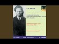 Violin Partita No. 2 in D Minor, BWV 1004: IV. Giga