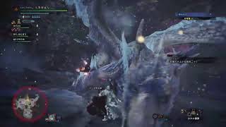 アイスボーン初心者です